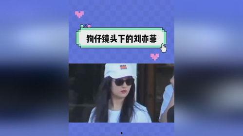 娱乐吃瓜视频网站,带你领略娱乐圈幕后风云